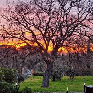Bed & Breakfast Bee, Frascati